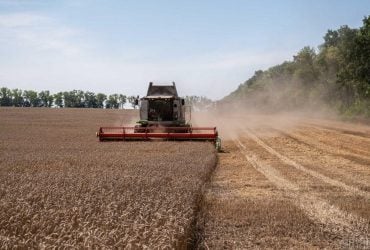 В Мининфраструктуры рассказали об успехах "зернового коридора"