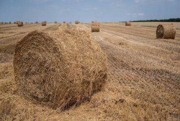 Міністр оборони Туреччини обговорив з Шойгу зернову угоду: про що домовилися