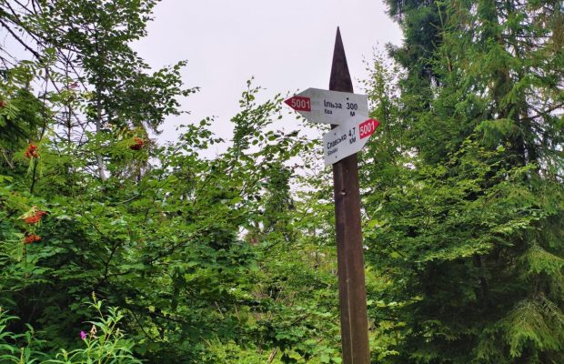 Рятувальники закликали туристів утриматися від походів в гори: названо причину