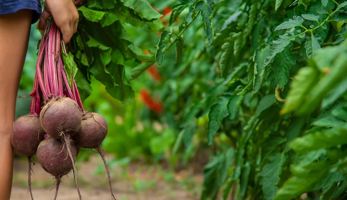 Приметы на сегодня Приметы на сегодня