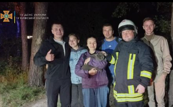 В Киевской области с дерева спасли женщину и кота / фото facebook.com/MNS.GOV.UA