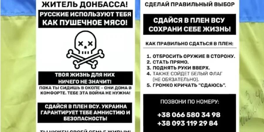 ВСУ запускают агитснаряды перед наступлением / скриншот ВСУ запускают агитснаряды перед наступлением / скриншот