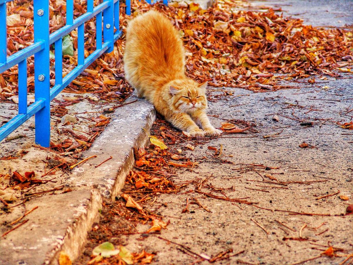 Погода сегодня / фото Pixabay Погода сегодня / фото Pixabay