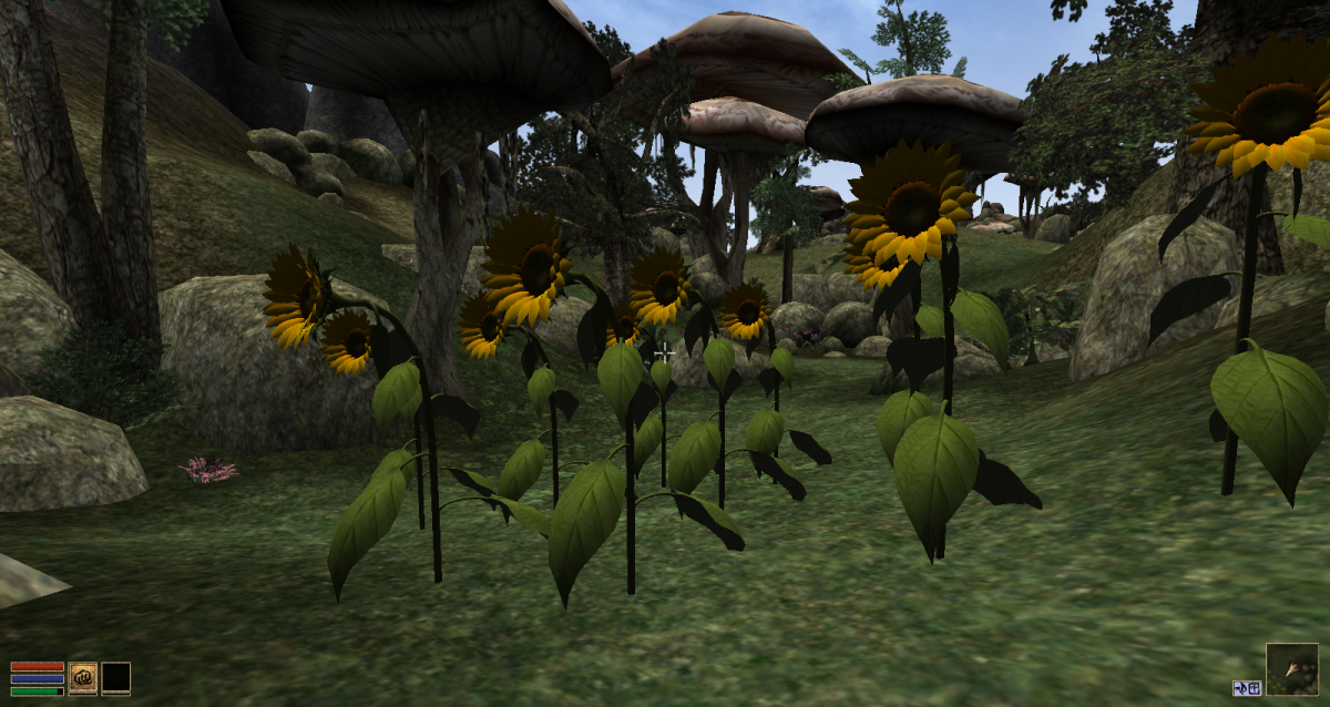 Sunflowers in Morrowind — For Ukraine / фото Nexus Mods