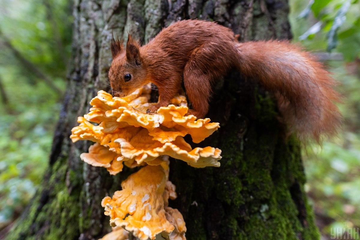 23фото УНІАН 23фото УНІАН