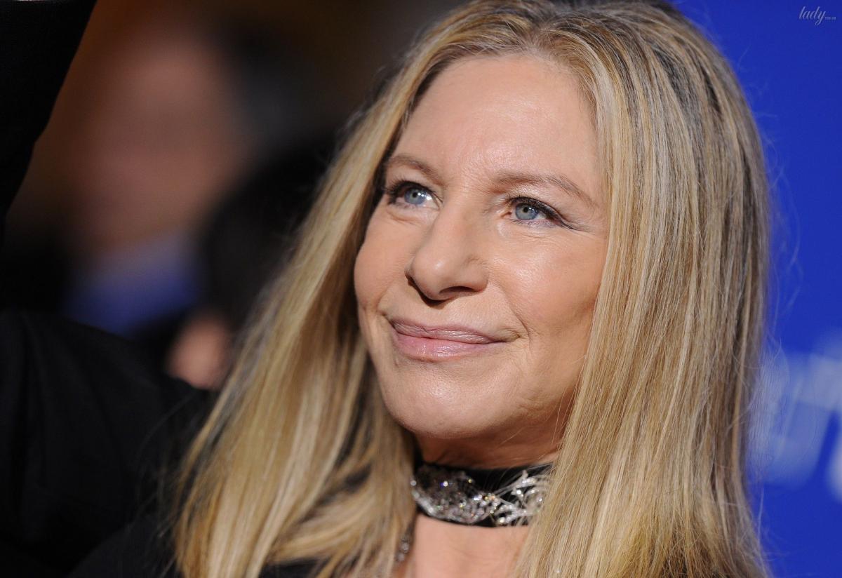 Streisand discussed the details of cooperation with President Zelensky / photo: East News