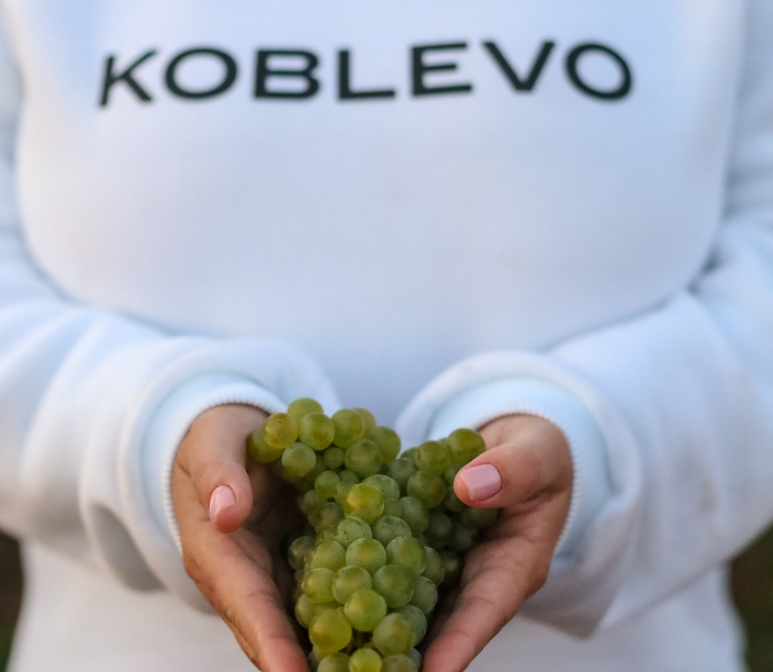 40 лет винодельне KOBLEVO 40 лет винодельне KOBLEVO