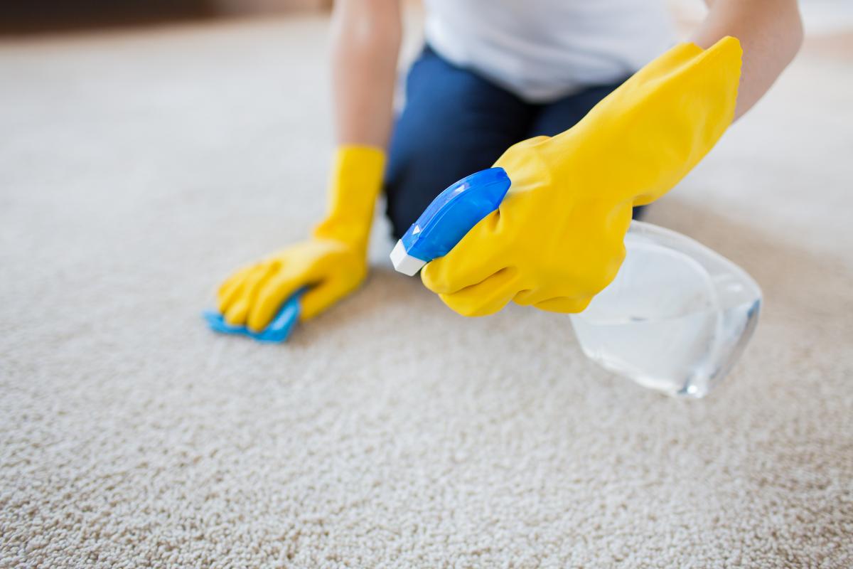 How to clean the carpet at home with improvised means / depositphotos.com