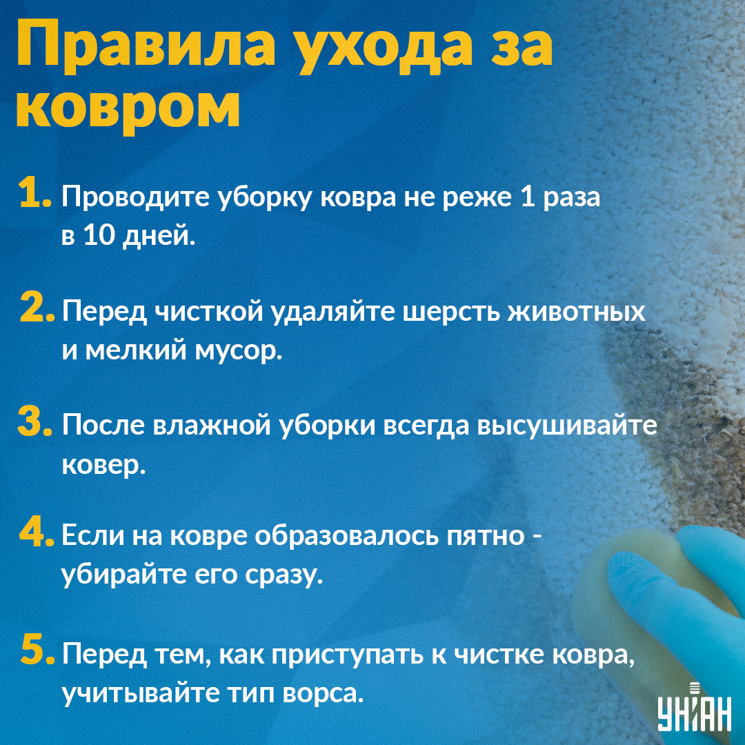 Как быстро вымыть ковер / Инфографика УНИАН Как быстро вымыть ковер / Инфографика УНИАН