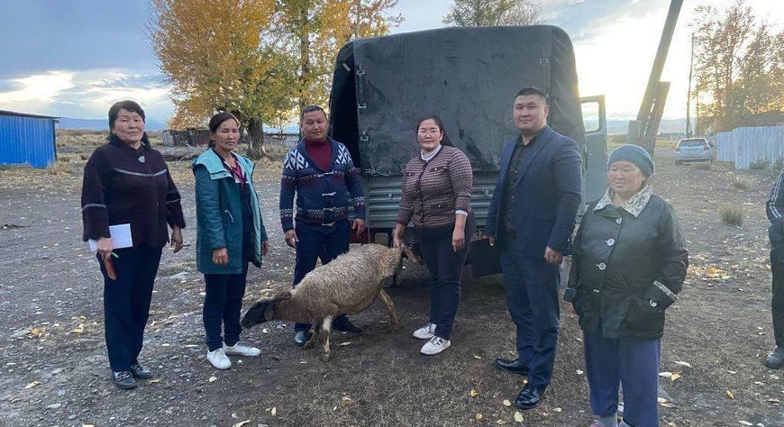 Роздача рогатої худоби / фото росЗМІ Роздача рогатої худоби / фото росЗМІ
