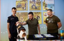 Пес Патрон сфотографировался с Владимиром Зеленским (фото)