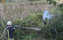 Пожежі на Київщині: в ДСНС повідомили про ситуацію