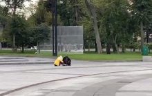 Вулицями Харкова гуляла мавпа: втікачка майстерно відкрила замки (відео)