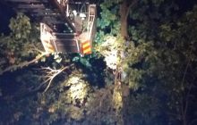 Хотіла допомогти коту і опинилася у "пастці": на Київщині врятували жінку й тварину (фото)