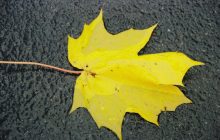 "Обережно на дорогах і тротуарах": синоптик розповіла про погоду на завтра