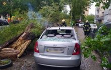 Разбитые машины и поваленные деревья: на Хмельнитчине непогода наделала бед (фото)