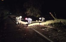 Киевская область пострадала от непогоды: более сотни населенных пунктов остались без света