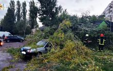 Непогода в Черкасской области наделала бед: повалены десятки деревьев, есть травмированные (фото)
