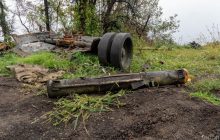 Зоозахисники закликають світ покарати Росію за екоцид в Україні