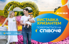 Виставка хризантем повертається на столичний парк Співоче