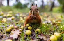 Синоптик Діденко попередила українців про похолодання: де впаде температура