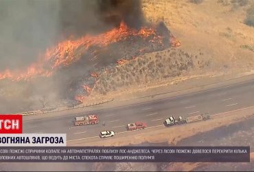 До +43 градусов: лесные пожары и жара привели к автомобильному коллапсу