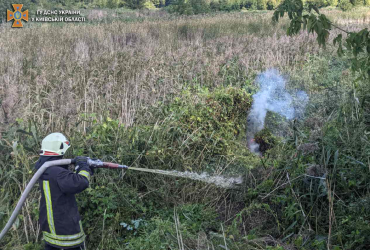 Пожары на Киевщине: в ГСЧС сообщили о ситуации