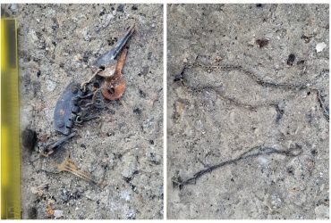 Стратили і спалили: у Бучі в гаражі знайшли тіла закатованих окупантами людей (фото)