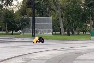 Вулицями Харкова гуляла мавпа: втікачка майстерно відкрила замки (відео)