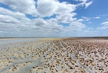 В Одеській області висохли унікальні озера (фото)
