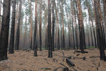 У Києві та області на три дні оголосили надзвичайний рівень небезпеки