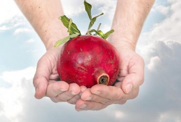 Єврейський Новий рік Рош ха-Шана 2022: дата та традиції в Україні