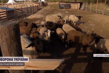 На Дніпропетровщині ворожий снаряд прилетів на ферму, загинули тварини