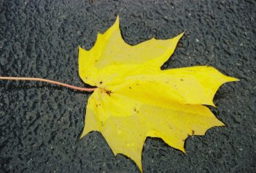 Обережно на дорогах і тротуарах: синоптик розповіла про погоду на завтра