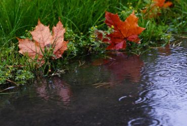 В среду часть Украины зальют дожди: где будут осадки (карта)