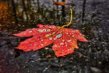 Наприкінці тижня майже у всіх областях України пройдуть дощі (карта)