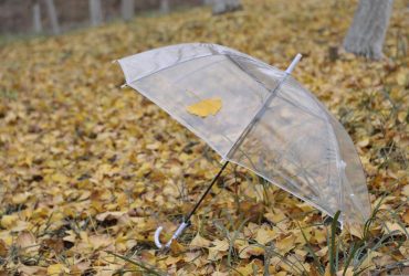 В Украину возвращаются дожди: синоптик рассказал, где и когда понадобится зонт