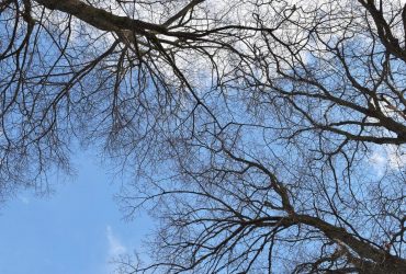 Буде тепленько: синоптик Діденко приголомшила прогнозом на 1 січня