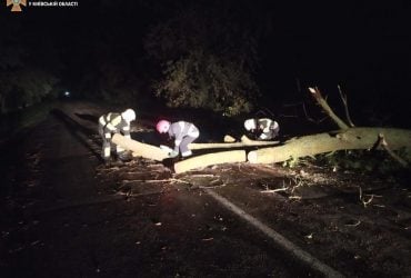 Киевская область пострадала от непогоды: более сотни населенных пунктов остались без света