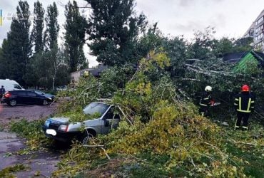 Непогода в Черкасской области наделала бед: повалены десятки деревьев, есть травмированные (фото)