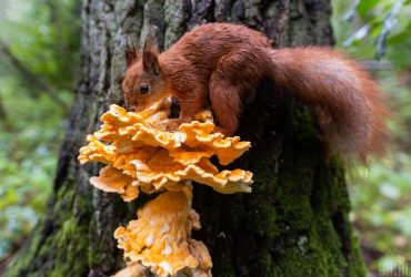 Холодний атмосферний фронт зіб'є температуру в Україні: де буде похолодання