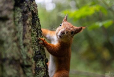 Украинцев предупредили о новом похолодании: наслаждаться погодой осталось недолго