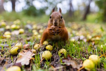 На вихідних в Україну прийде потепління: де підвищиться температура (карта)