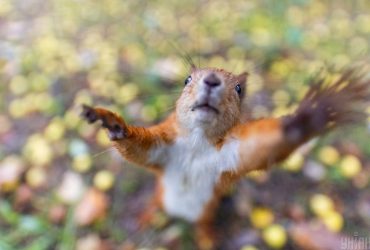 Перед выходными Украину охватит похолодание (карта)