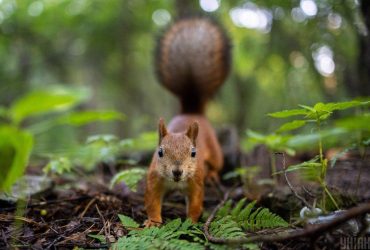 Укргідрометцентр прогнозує зміну погоди в Україні: до чого готуватись