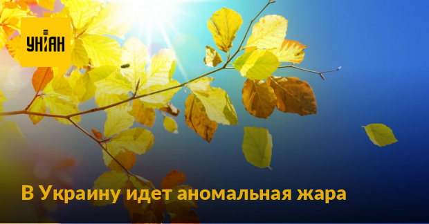 На Украину надвигается "бабье лето": синоптик рассказала, в каких регионах потеплеет