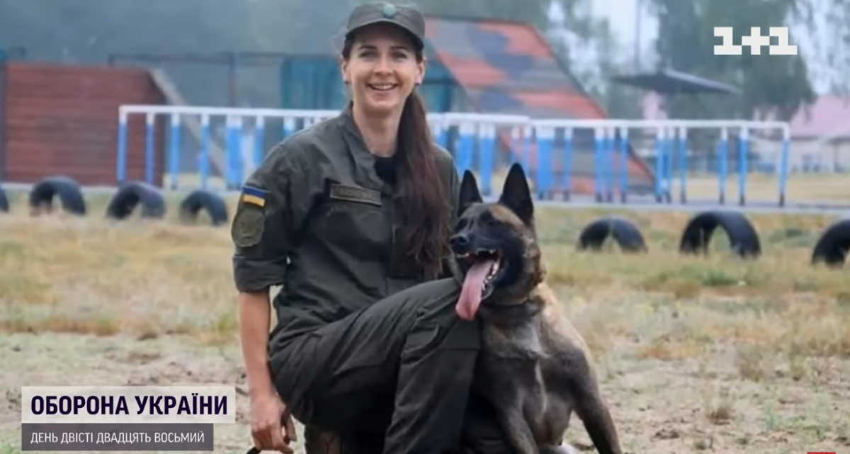 Служебная собака из Нацгвардии стала чемпионом мира / скрин видео Служебная собака из Нацгвардии стала чемпионом мира / скрин видео
