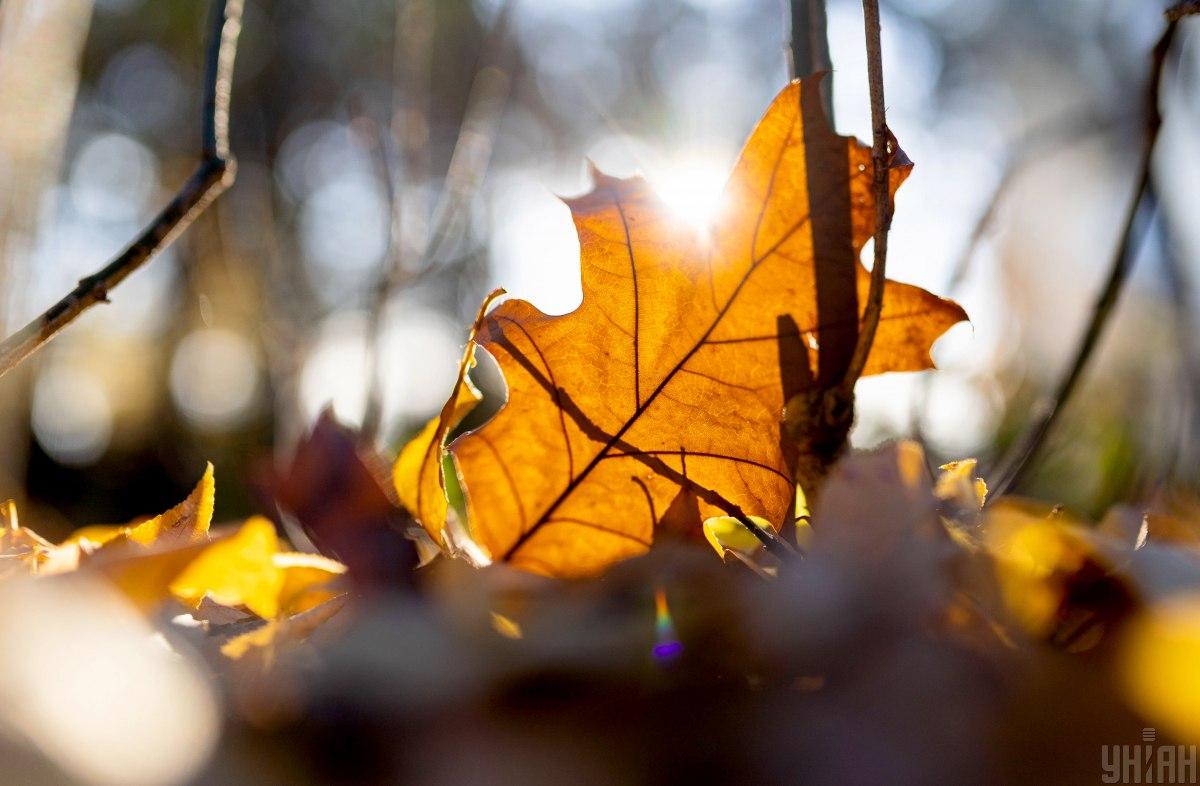 Погода на тиждень / фото УНІАН Погода на тиждень / фото УНІАН