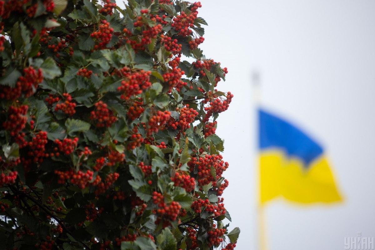 День Соборності - синоптик розказала, яка погода буде в Україні 22 січня / фото УНІАН