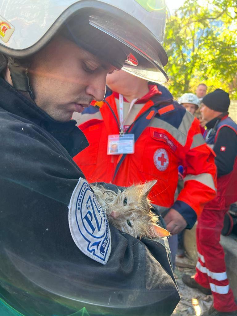 фото t.me/vitaliy_klitschko фото t.me/vitaliy_klitschko